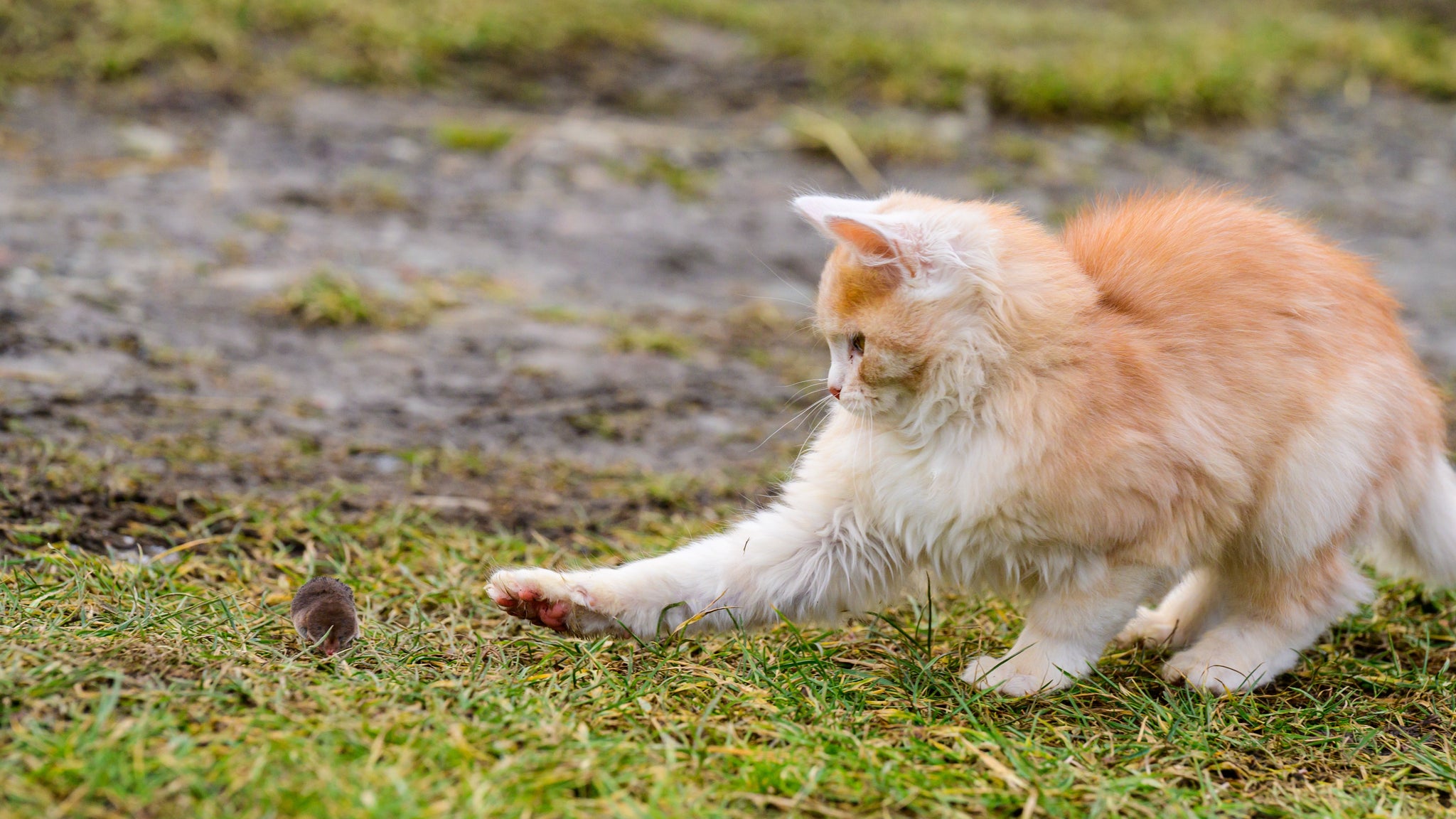 Why Your Website Might Be Losing Customers (And How to Fix It)